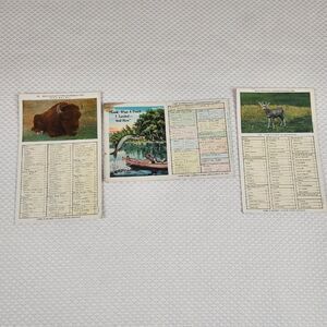 Vintage Postcard Busy People's Correspondence Card Lot Bull Deer Fish Humor Fun
